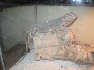 IMG_3845